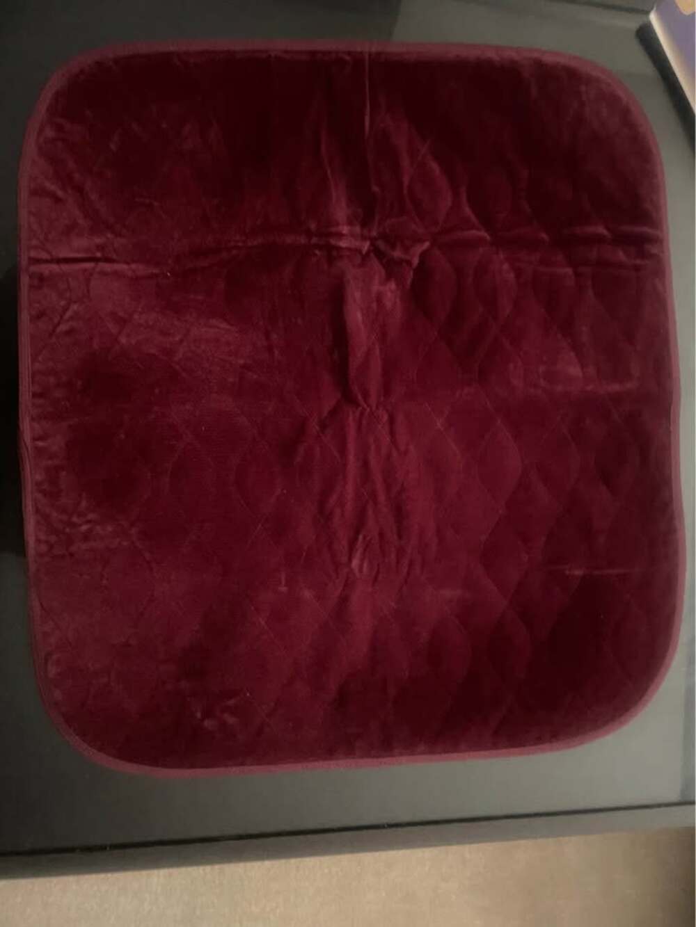 Priva Waterproof Seat Protector - Picture 2 of 3